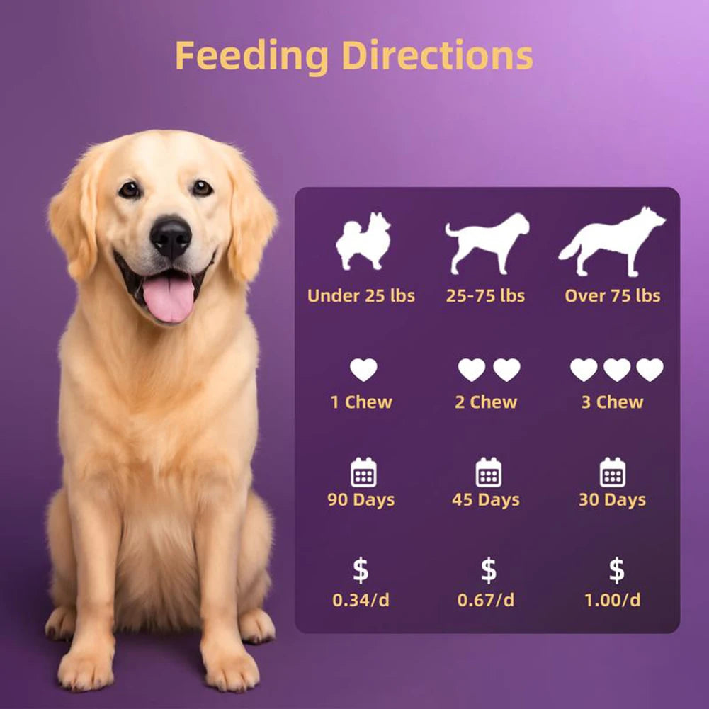 Probiotics Supplements for Dogs 90 Count Digestive Enzymes for Gut Flora Health Diarrhea & Bowel Support Pet Immune System