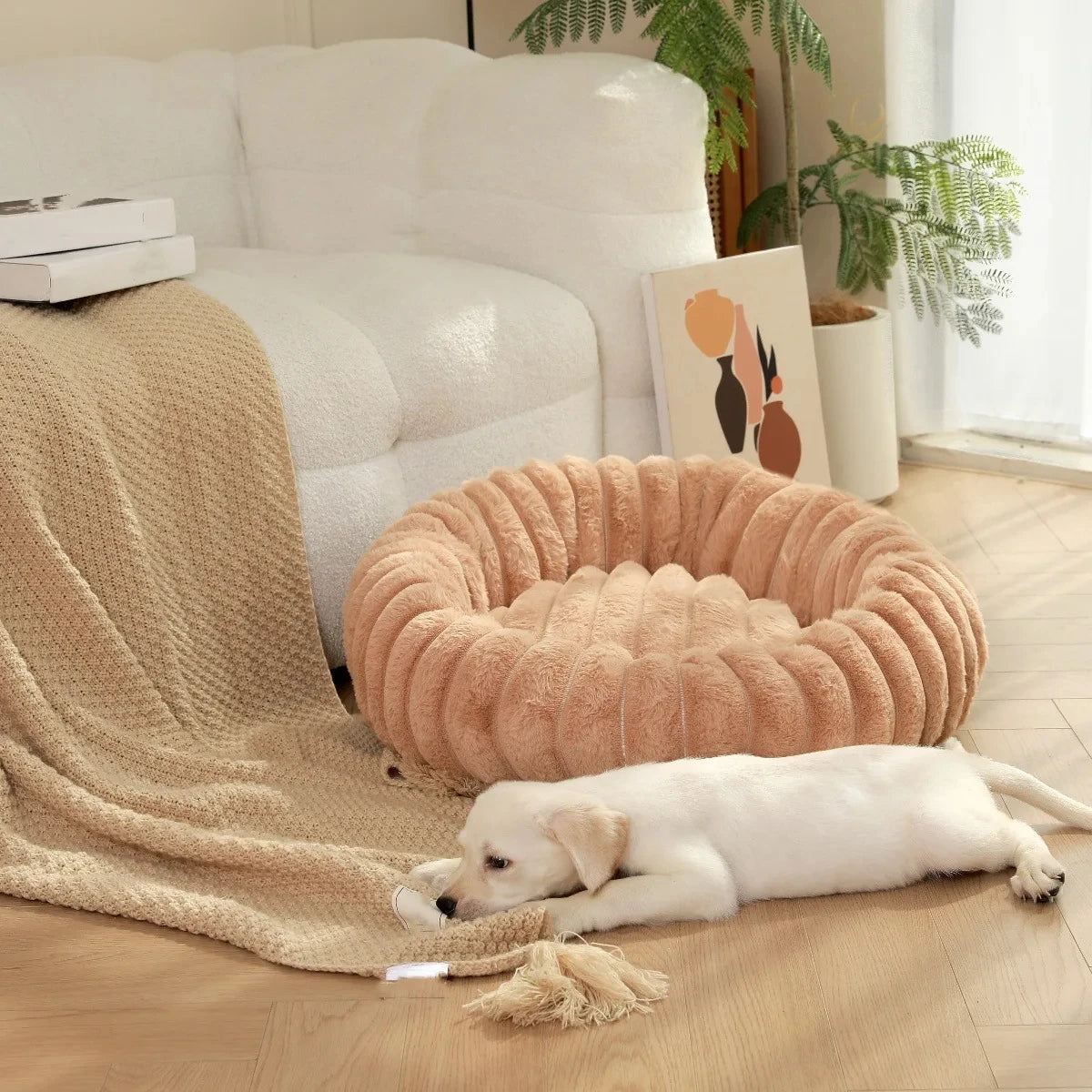 40-70cm Round Pet Bed for Dog Bed Super Soft Cat Bed Long Plush Dog House for Medium Dog House Winter Warm Sleeping