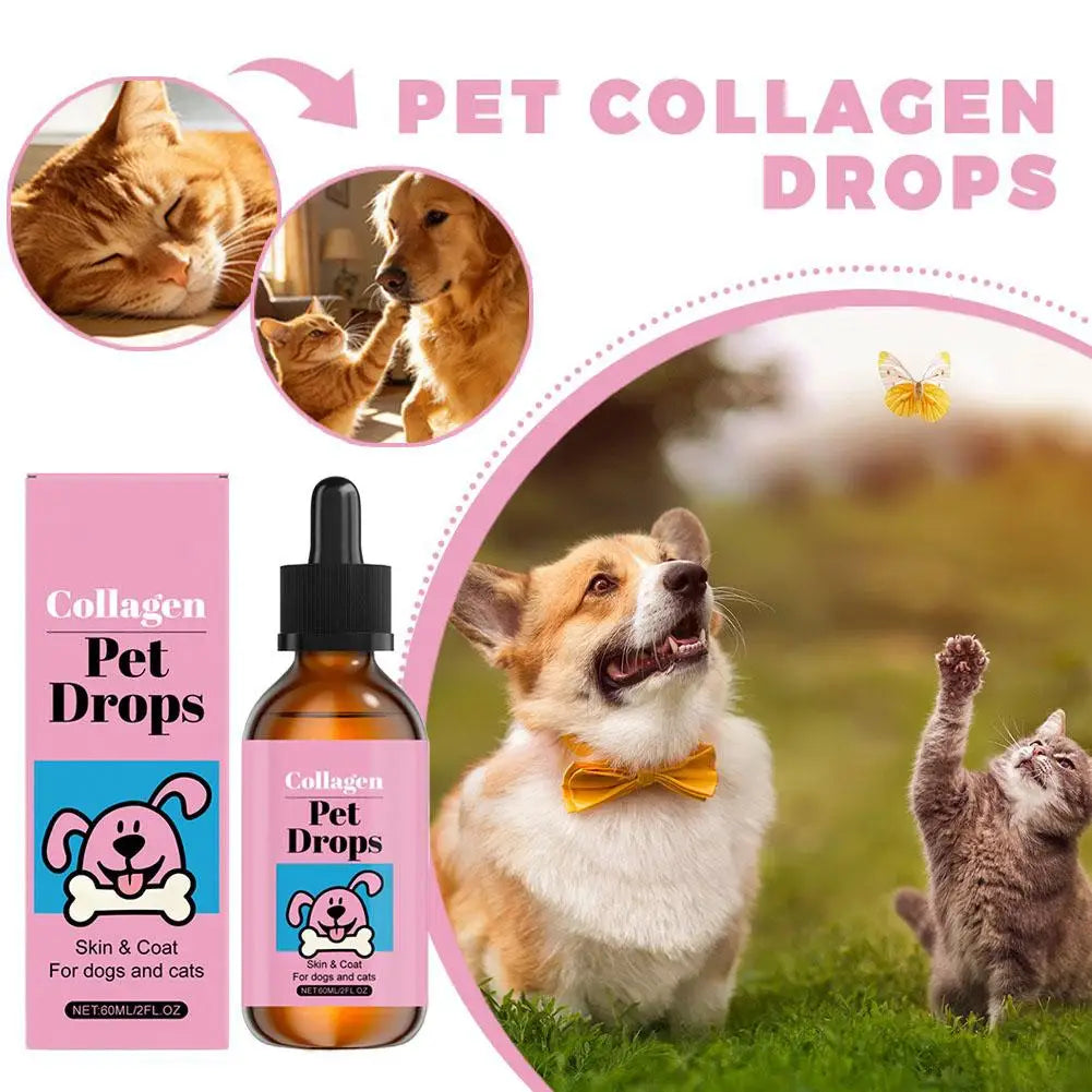 All Ages Pet Collagen Liquid Drops 60ml Skin Coat Support Supplement for Small Large Dog Cat Collagen for Pet Beauty and Health