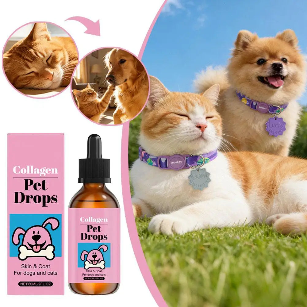 All Ages Pet Collagen Liquid Drops 60ml Skin Coat Support Supplement for Small Large Dog Cat Collagen for Pet Beauty and Health
