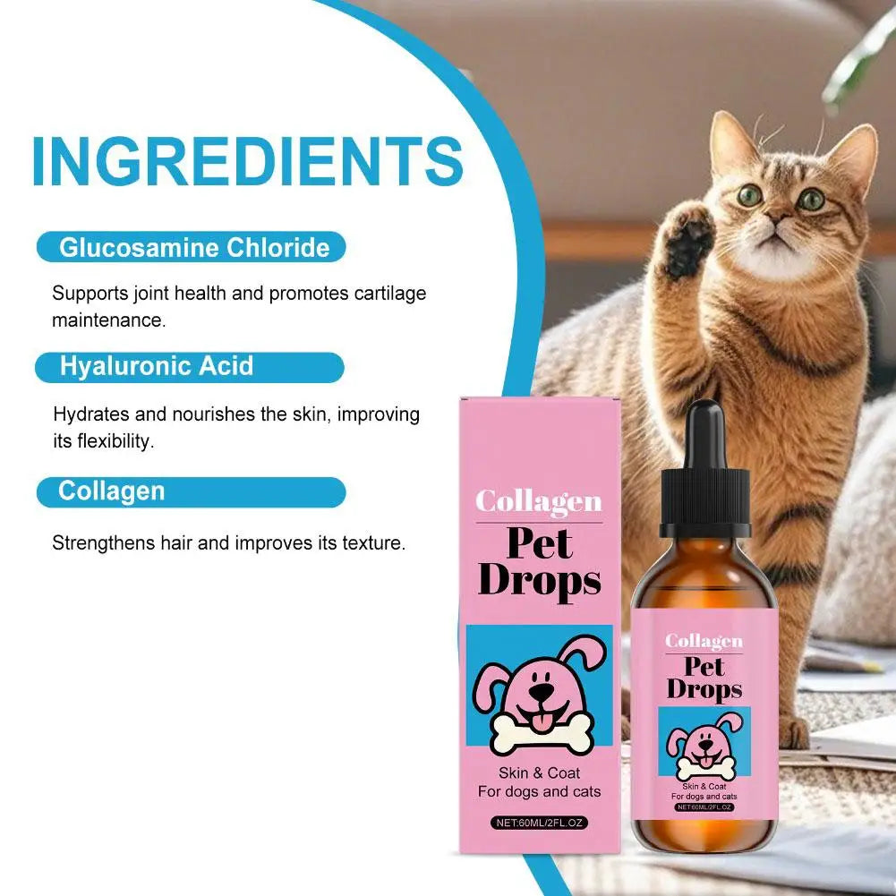All Ages Pet Collagen Liquid Drops 60ml Skin Coat Support Supplement for Small Large Dog Cat Collagen for Pet Beauty and Health