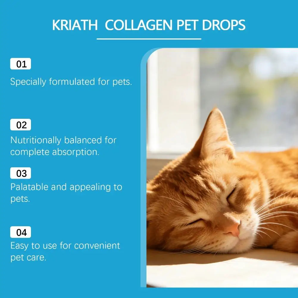 All Ages Pet Collagen Liquid Drops 60ml Skin Coat Support Supplement for Small Large Dog Cat Collagen for Pet Beauty and Health