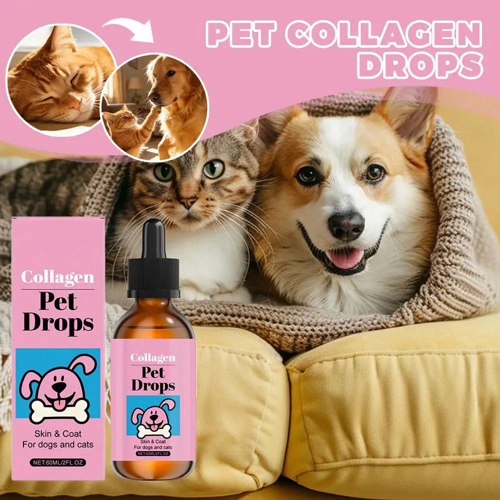 All Ages Pet Collagen Liquid Drops 60ml Skin Coat Support Supplement for Small Large Dog Cat Collagen for Pet Beauty and Health