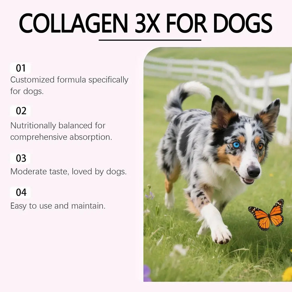 60ml Dog Pet Collagen Based Staple Food Combined With Nutritional Supplement Drops Gentle Formula For Hair And Skin Care