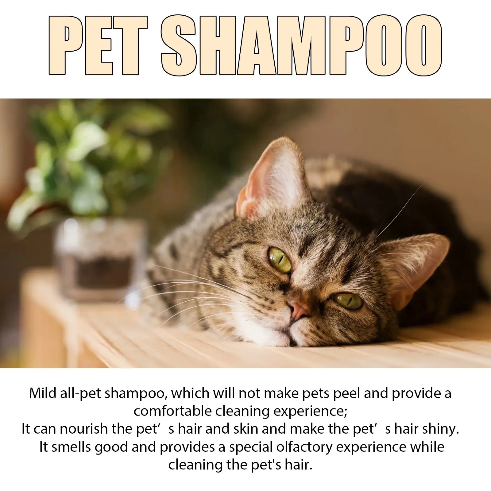 Pet Shampoo Dog Shampoo And Coat Wash For Hydrating Cleansing And Adding To Pet Hair-300ml