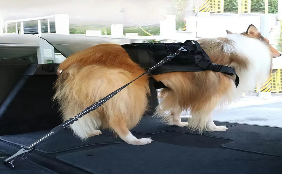 Dog Seatbelt Updated 3-in-1 Pet Car Seat Belts for Dogs Car Tether with Clip Hook Bungee Dogs Safety Belt with Swivel Carabiner