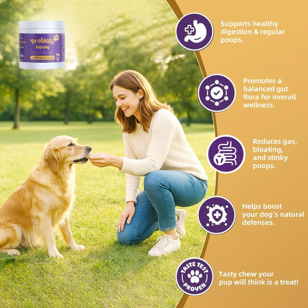 Probiotics Supplements for Dogs 90 Count Digestive Enzymes for Gut Flora Health Diarrhea & Bowel Support Pet Immune System