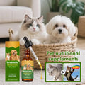 Pet Nutrition Supplement Probiotic Drops Containing Enzymes Used For Dog Cat Digestion And Boosts Immune Daily Health Supplement
