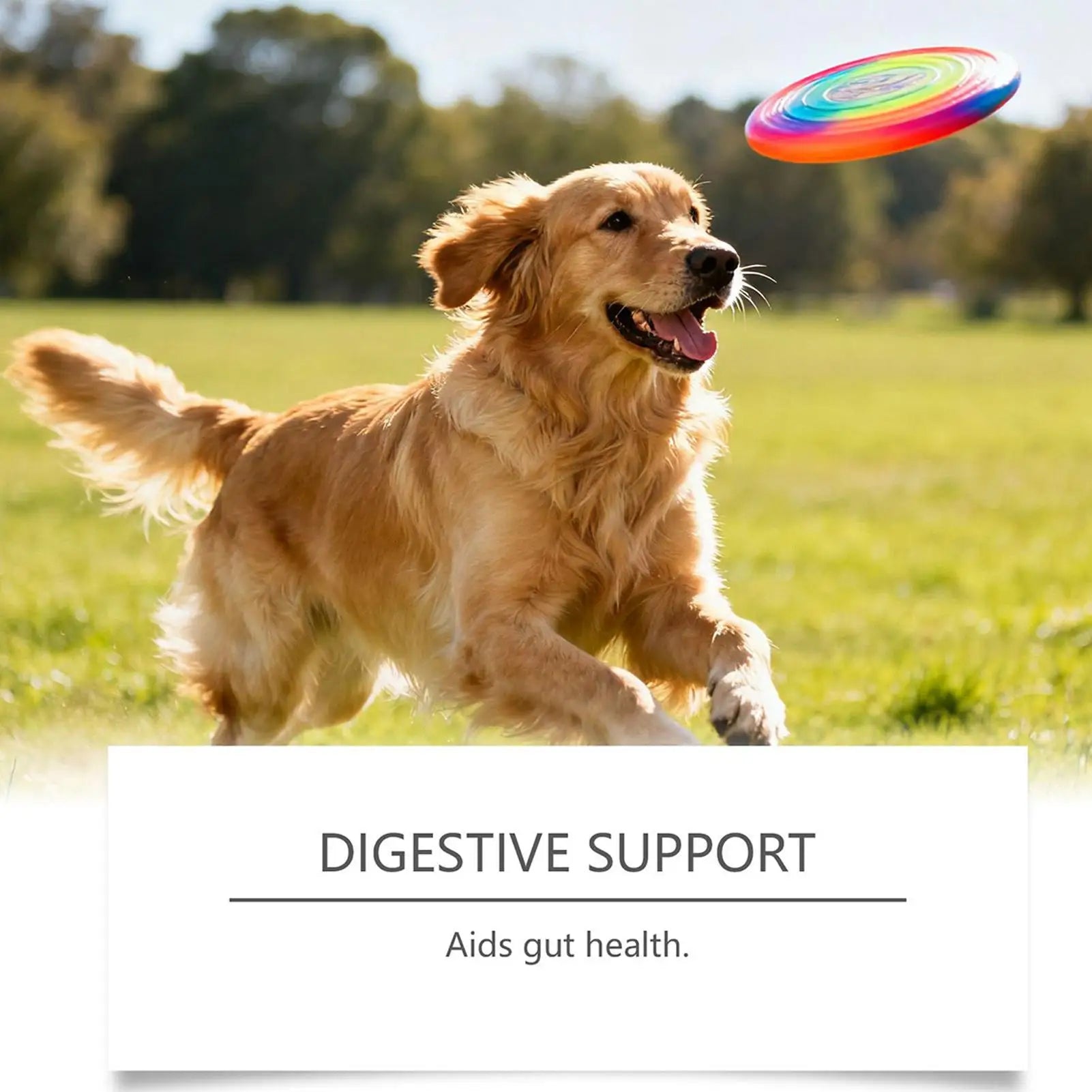 Joint Supplement For Dogs Natural Chews Pill 100-piece Dog Hip & Joint Care For Home Travel Daily Care Digestive Absorption Pet