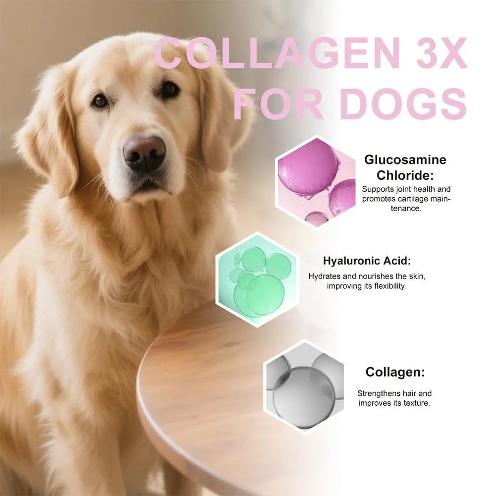 60ml Dog Pet Collagen Based Staple Food Combined With Nutritional Supplement Drops Gentle Formula For Hair And Skin Care