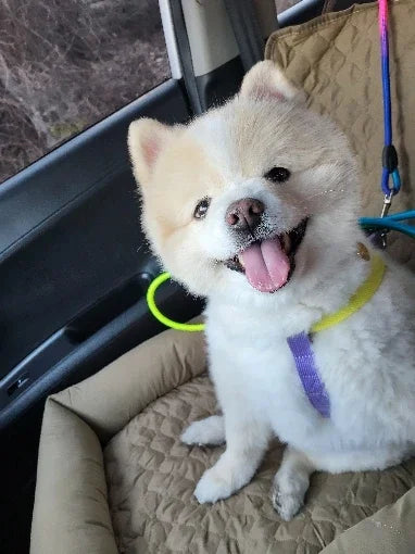 1PC Waterproof Dog Car Seat Cover Nest Pets Travel Carrying Car Mat Baskets Anti Dirty Cats Medium Small Dogs Bed for Car Seat