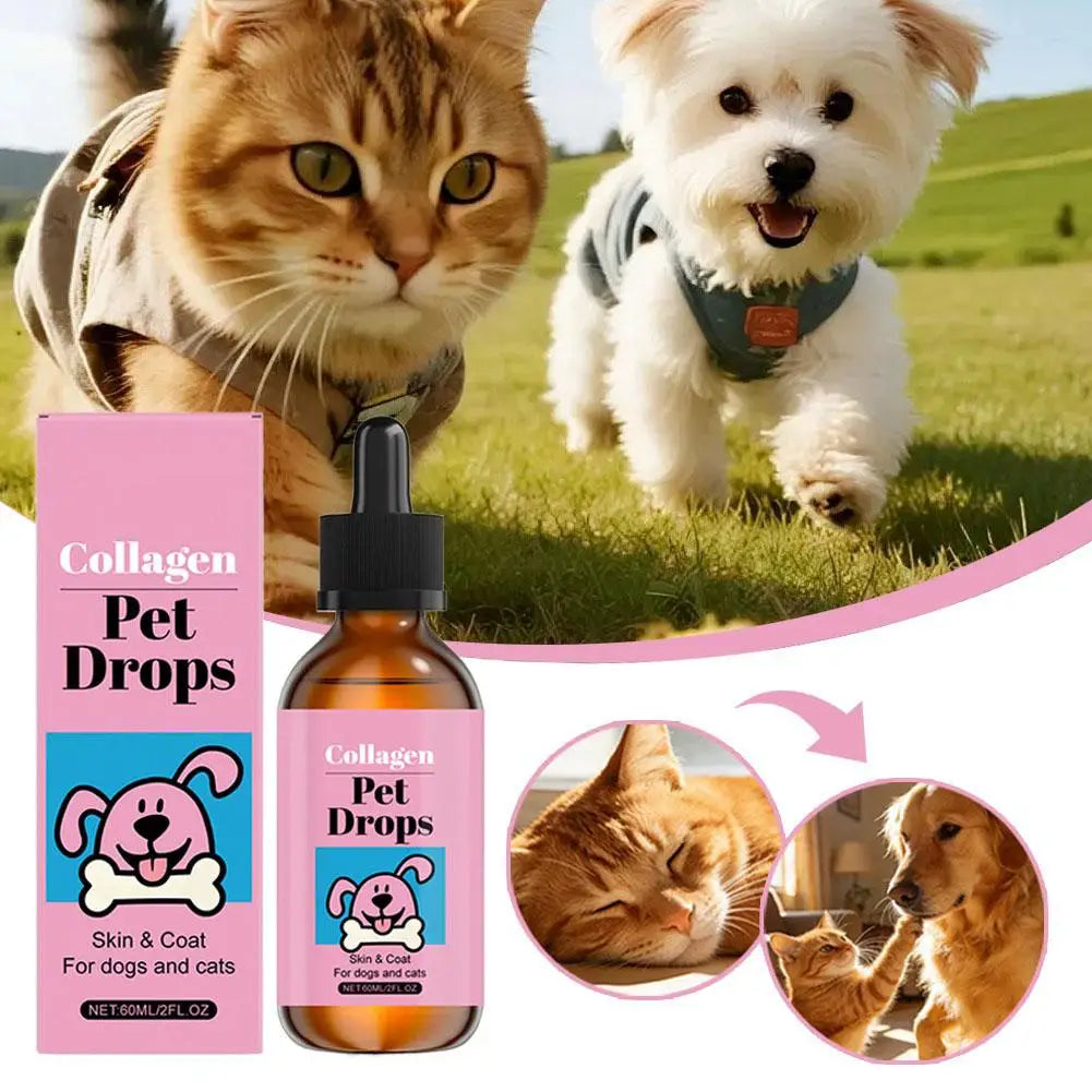 All Ages Pet Collagen Liquid Drops 60ml Skin Coat Support Supplement for Small Large Dog Cat Collagen for Pet Beauty and Health
