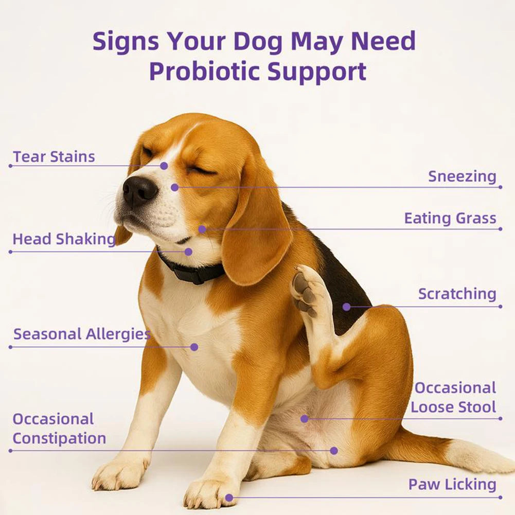 Probiotics Supplements for Dogs 90 Count Digestive Enzymes for Gut Flora Health Diarrhea & Bowel Support Pet Immune System