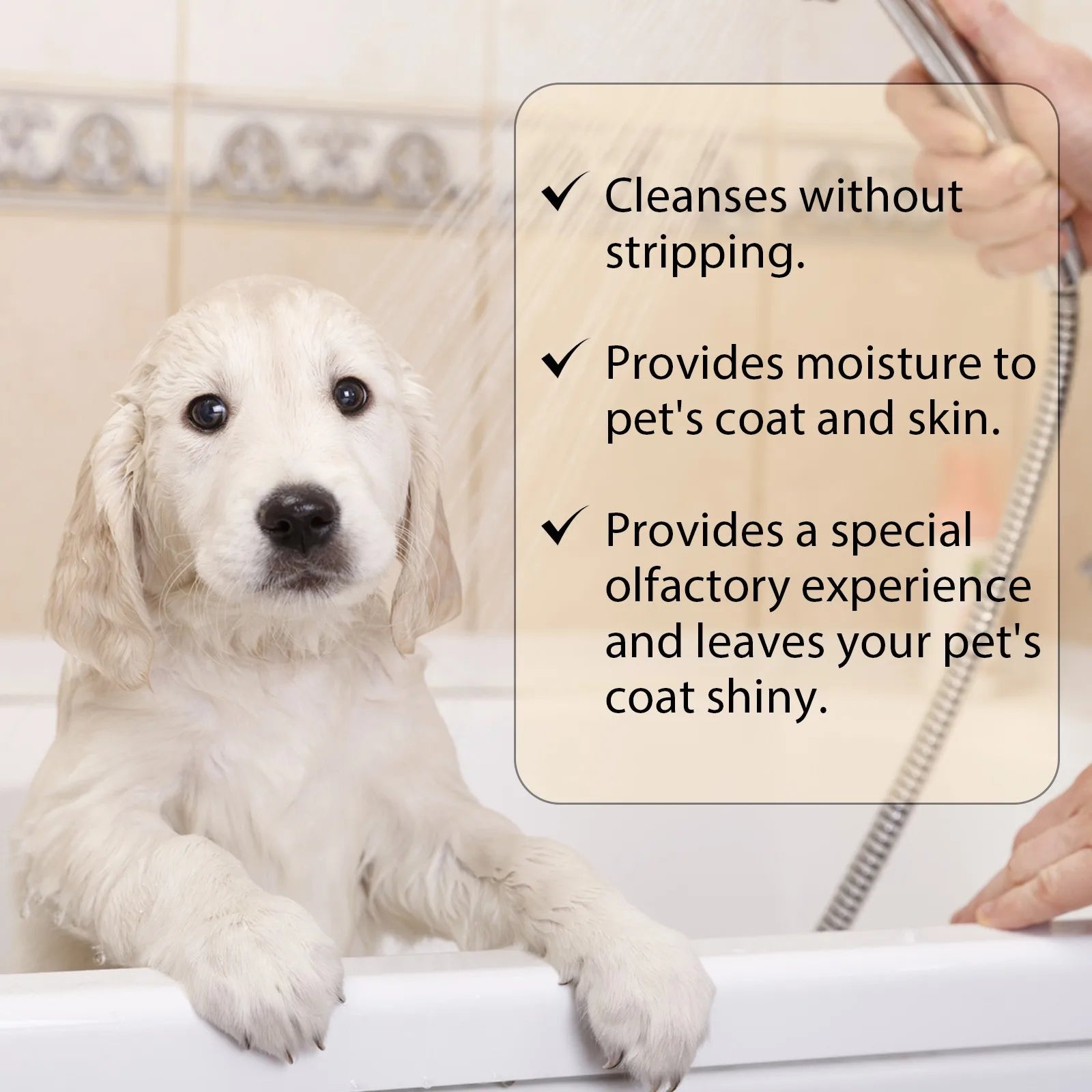 Pet Shampoo Dog Shampoo And Coat Wash For Hydrating Cleansing And Adding To Pet Hair-300ml