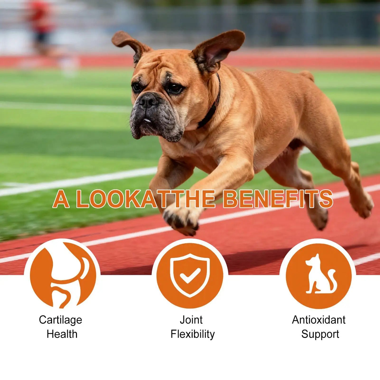 Joint Supplement For Dogs Natural Chews Pill 100-piece Dog Hip & Joint Care For Home Travel Daily Care Digestive Absorption Pet