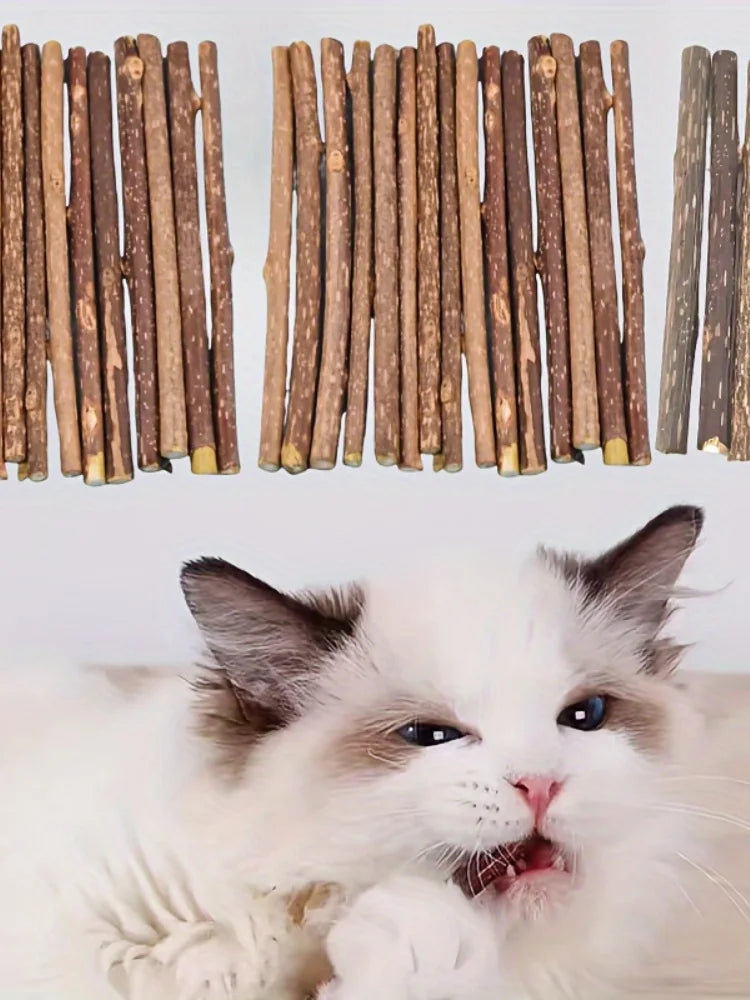 10/15/20 pieces/lot Catnip sticks, pet cat teething toys, natural wooden polygonum sticks, teeth cleaning, boredom relief snacks