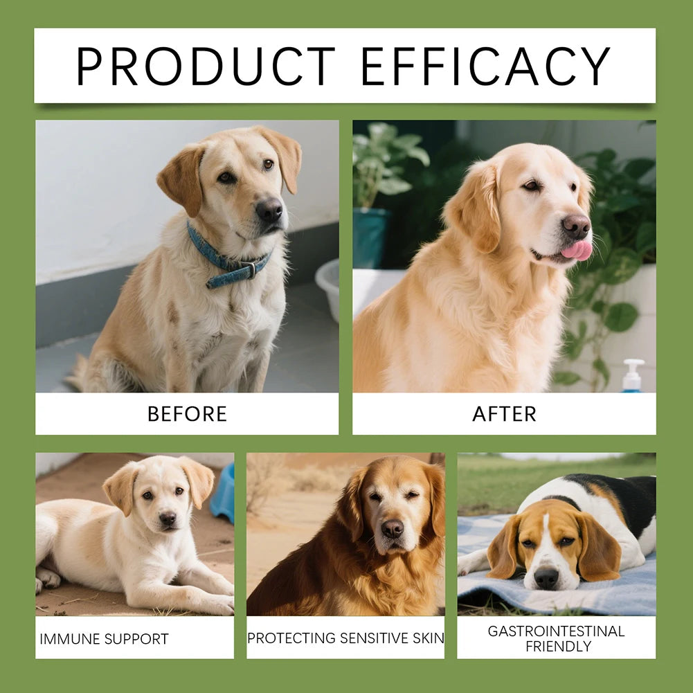 200g Taurine Powder Paw VitaTtaurine Supplement for Dogs Supports for Heart-Vision Daily Welln-ess in Dogs