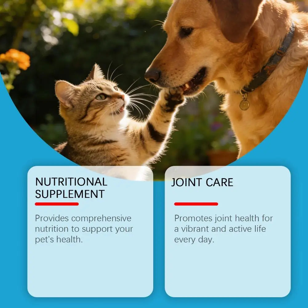 All Ages Pet Collagen Liquid Drops 60ml Skin Coat Support Supplement for Small Large Dog Cat Collagen for Pet Beauty and Health
